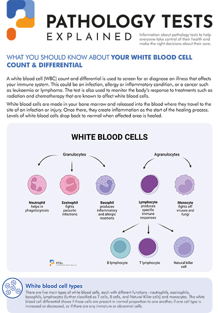 White blood cell count